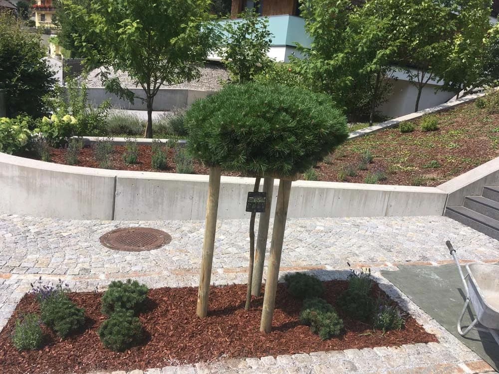 Blumenbeet mit Rindenmulch