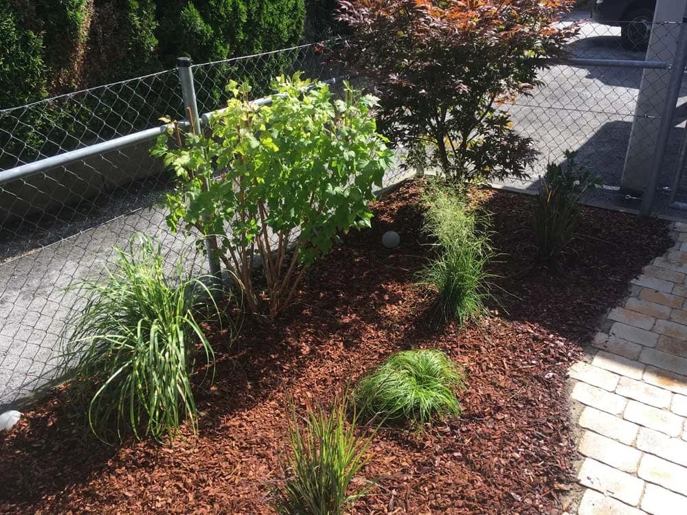 Blumenbeet mit Rindenmulch und kleinen grünen Pflanzen